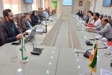 برگزاری کمیته برون‌بخشی حذف هپاتیت C در معاونت بهداشتی رفسنجان